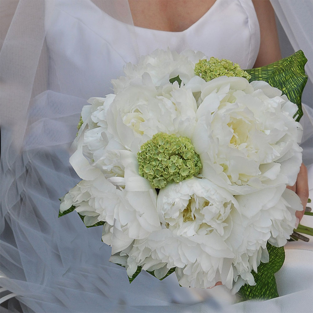 Fantastic bridal bouquet in Rome with white peonies and green viburnum